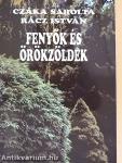 Fenyők és örökzöldek