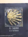 El Camino - Az út képekben