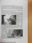 A zsolcai "elsüllyedt templom" rejtélye és a megújulás