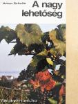 A nagy lehetőség