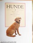 Hunde