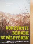 Börzsönyi bércek bűvöletében