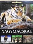 Nagymacskák