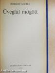 Üvegfal mögött