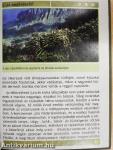 Mit kell tudni az emlősökről?