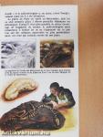 Les animaux préhistoriques