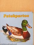 Patakparton