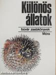 Különös állatok