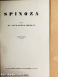 Spinoza