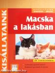 Macska a lakásban