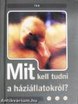Mit kell tudni a háziállatokról?