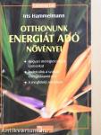 Otthonunk energiát adó növényei