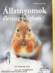 Állatnyomok életnagyságban