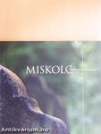 Miskolc védett síremlékei