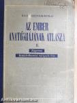 Az ember anatómiájának atlasza II. (töredék)