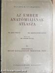 Az ember anatómiájának atlasza II. (töredék)