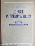 Az ember anatómiájának atlasza II. (töredék)