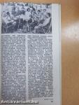 Nők Magazinja 1986/2.