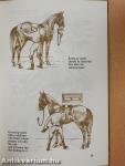 The Horse and Horsemanship