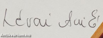 A konyhaablakból (dedikált példány)