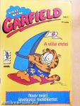 Garfield 1991/7.