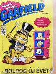 Garfield 1991/1.