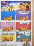 Garfield 2004/7. július