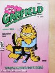 Garfield 1991/3.