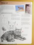 The Artist's Guide to Drawing Realistic Animals