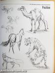 The Weatherly Guide to Drawing Animals