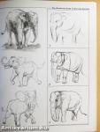 The Weatherly Guide to Drawing Animals