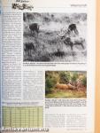 Wild und Hund 26. November 1994