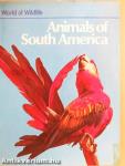 Animals of South America