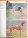 Encyclopédie Internationale des Chiens