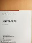 Antelopes