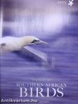 The Best of Southern African Birds