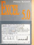 Excel 5.0