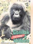 Gorillák a ködben