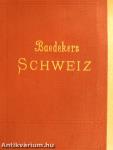 Die Schweiz nebst den Angrenzenden Teilen von Oberitalien, Savoyen und Tirol