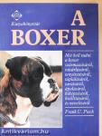 A boxer