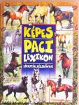 Képes paci lexikon