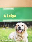 A kutya