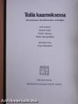 Skabmatolak - Sabmelas kirjjalasvuoda antologiija