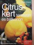 Citruskert teraszon és balkonon