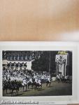 Huldigungs-Festzug 1908.