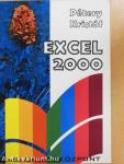 Excel 2000