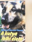 A kutya lelki élete