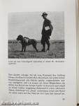 Der ferme Jäger als Jagdhundeführer