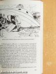 UFO kapcsolat a reticulumi lényekkel