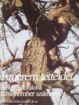 Ismerem tetteidet